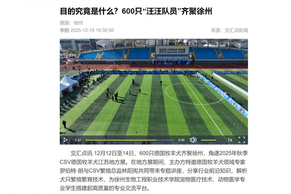 【交汇点新闻】目的究竟是什么？600只“汪汪队员”齐聚徐州